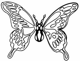 Check spelling or type a new query. The Best Free Library Butterfly Black And White Clip Art 1367x1054 Wallpaper Teahub Io