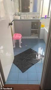 Check spelling or type a new query. Mum Wows Thousands With Her Stunning Bathroom Renovation Daily Mail Online