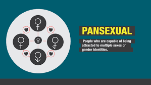 Pansexuality falls under the bisexuality umbrella but goes beyond being attracted to both men and women. Pansexual Definition Cultural Context And More Cnn