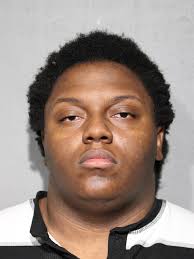 JAMES, TERRELL J 20 BLACK M CHARGES: 720 ILCS 5.0/24-1.6-A-1 AGG  UPW/VEHICLE/LOADED FIREARM OFFENSE AS CITED 720 ILCS 5.0/24-1.6-A-1 AGG  UPW/VEHICLE/LOADED FIREARM OFFENSE AS CITED