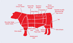 Tenderloin — is:* beef tenderloin * pork tenderloin * tenderloin, manhattan * tenderloin, san francisco, california * tenderloin (musical) , a musical from 1960 * tenderloin (novel), by samuel hopkins adams * tenderloin (song), a song by the punk rock group… … Ask The Experts The Best Off Cuts For Steak