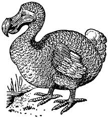 Here, you will find bird coloring pages to print and color. Realistic Picture Of Dodo Bird Coloring Pages Netart