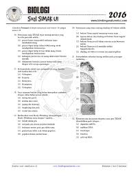Jual koding konsep dasar the king kunci kumpulan soal ips tp. Hvxndvotz1ruqm