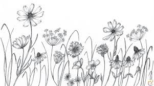 View all coloring pages from flowers category. How To Draw Flower Step By Step For Kids Beginners