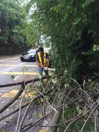 We did not find results for: Kerja Kerja Pemotongan Dewan Bandaraya Kuala Lumpur Facebook