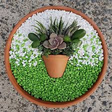 Its shallow depth and drainage hole make it the perfect choice for succulent gardening. Home Dzine Garden Ideas Miniature Succulent Gardens