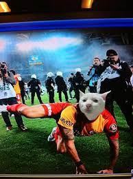 Galatasaray'ın verilmeyen penaltısı var ama fenerbahçe ustaca gündem değiştiriyor. Image 562423 Serious Cat Know Your Meme