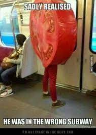 You will see there are many thousands of hilarious pictures posted over the past several years. 900 Funny Pictures Ideas In 2021 Funny Pictures Funny Bones Funny