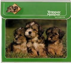 Maybe you would like to learn more about one of these? 12 Totally Trendy 80s Trapper Keeper Notebooks Binders Click Americana