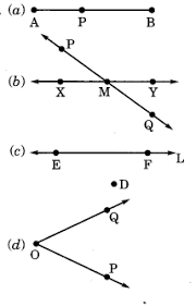 Ncert Solutions For Class 6 Maths Chapter 4 Basic Geometrical Ideas Ncertsolutionsforclass6maths Class6mathsncertsolutions Nce Class 6 Maths Math Solutions