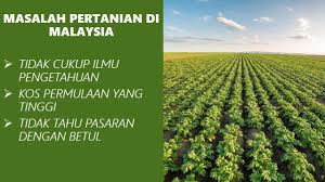 Ketua umum hkti, moeldoko, mengatakan bahwa salah satu tantangan besar pertanian saat ini adalah menyangkut masalah ketersediaan lahan. Sjm Desa Enterprise Publications Facebook