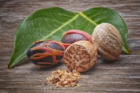 Image result for Myristicaceae