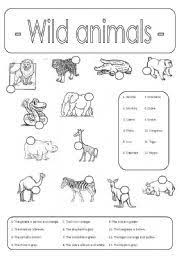 Wild Animals Number And Colour Animals Wild Kindergarten Worksheets Kindergarten Addition Worksheets