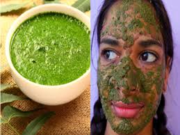गर्मी में स्किन पर एक्ने और मुंहासे परेशान कर रहे तो नीम के पेस्ट का ऐसे  करें इस्तेमाल how to make face pack with neem leaves for summer acne pimple  tanning and