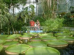 Jardin botanique alexandru borza (fr); Gradina Botanica Cluj Napoca Romania Mapio Net