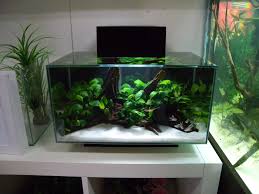 3 Fluval Edge Shop Displays Aquarium Aquarium Fish Tank Aquascape Aquarium