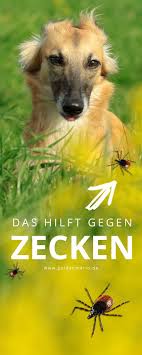 Pin Von Flummi S Diary Hundeblog Mit Auf Gesund Mit Hund Hunde Zecken Zeckenschutz Hund