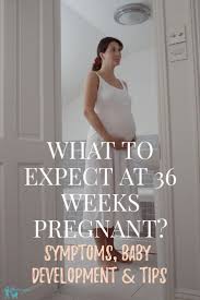 Pin On 3rd Trimester Pregnancy Weeks
