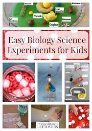 Biology Science Fair Projects Ideas Easy Biology Experiments For Kids Biology Experiments Biology For Kids Science Experiments Kids