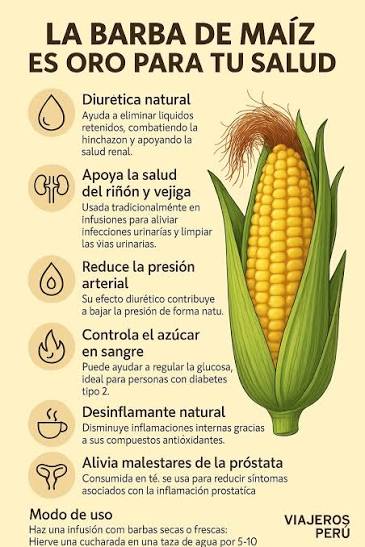 🌾 La barba de maíz es oro para tu salud 💧 Diurética natural Ayuda a eliminar líquidos retenidos, combatiendo la hinchazón y apoyando la salud renal. 🩺 Apoya la salud del riñón