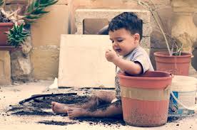 Image result for Pica