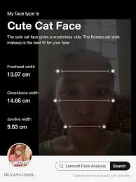 Analisis Wajah: Temukan Tipe Wajahmu dengan Lemon8