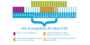 Birth control pills are 99 percent effective with perfect use, but it is still possible to get pregnant while on the pill. What Is Risk Pregnancy Edition Teen Health Source