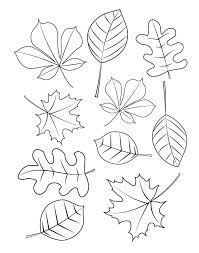 We have over 3,000 coloring pages available for you to view and print for free. Fall Leaves 8 Coloring Page Free Printable Coloring Pages For Kids
