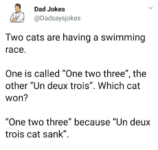 Fun Memes About Languages On Instagram By Dadsaysjokes Polyglotclub Frenchlanguage Languagememe Language Language Jokes French Puns Funny French