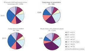 Figure 5 10 Patterns Of Tp53 Gene Mutations And Percentage