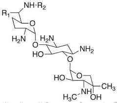 There is a significant discrepancy in the literature regarding the relative potency between amikacin and gentamicin/tobramycin. Gentamycin Gentamicin Sulfate Solution 50mg Ml Micromonospora Purpurea Cas 1405 41 0 United States Biological Biomol Com