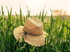 Aveti cunoștință daca exista fonduri. Fonduri Europene Agricultori