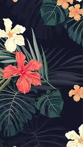 Tropical Summer Flower Floral Fotografi Seni Latar Belakang Abstrak