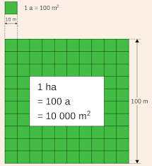 Puoi fare clic per consentire a noi e ai nostri fornitori il trattamento per le finalità sopra descritte. Quanto E Un Ettaro