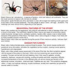 *how do camel spider interact with their own population. Risks In Iraq Animals Reptiles And Insects Part 3 Spiders Scorpions Insects