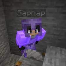For the youtuber who plays this character, see purpled. Vi On Twitter In 2021 My Dream Team Mc Skins Minecraft Skin