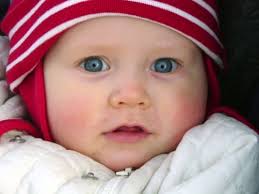 PC School Gallery! — Paula Hoflin, Foreign Exchange Student From Sweden...