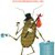 Maybe you would like to learn more about one of these? Rcd Exterminating Rochester Ny Alignable