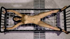Girl stretched out on a metal cot and electrocuted. This is a 3D animation  with no sound. - XNXX.COM