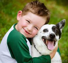 How much does it cost? What Does A Pet Photographer Do With Pictures