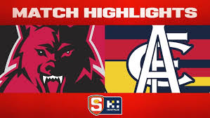 afl.com.au - News update