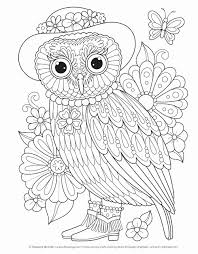 Coloring Picture Of Owls Unique Groovy Owls Coloring Book Coloring Is Fun Design Owl Coloring Pages Animal Coloring Pages Coloring Pictures