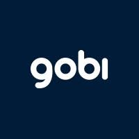 Gobi Stories