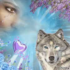 We did not find results for: I Love You Wolf Pictures Wolf Art Wolf Wallpaper