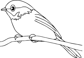This bird coloring pages will helps kids to focus while developing creativity, motor skills and color recognition. Bird Coloring Pages For Preschoolers Coloring Home