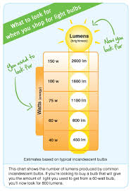 What Is The Difference Between Watts And Lumens Maxsa