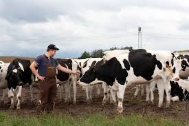 Explore the depthsDelve into the world of Landry de ToulouseLandry Toulouse explicitnude leakscontent - a treasure trovea goldmine of pornsextape videosphotos to excite youfor your pleasure