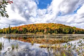 See more ideas about indian summer, beautiful fall, canada towns. Indian Summer In Den Usa Ein Land Im Rausch Der Farben