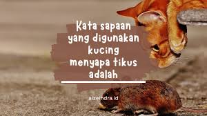 We did not find results for: Kata Sapaan Yang Digunakan Kucing Ketika Menyapa Tikus Adalah