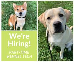 I'm looking for service for my We Re Hiring Kennel Tech Peacock Bridge Kennels Facebook